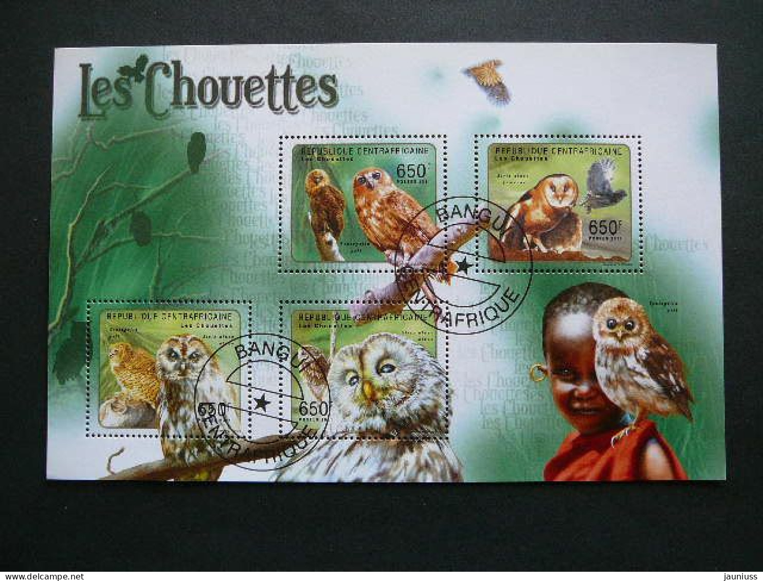 Owls. Eulen. Les Hiboux  # Central African Republic # 2011 Used S/s #157 Birds - Gufi E Civette