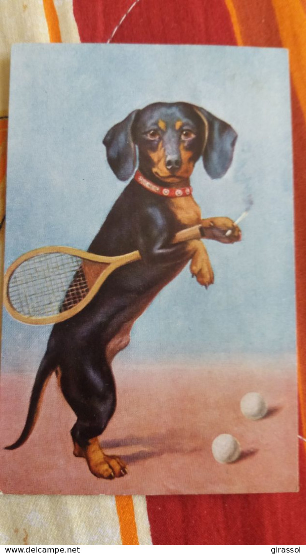 CPA CHIEN FUMANT ET JOUANT AU TENNIS 1931 - Dogs