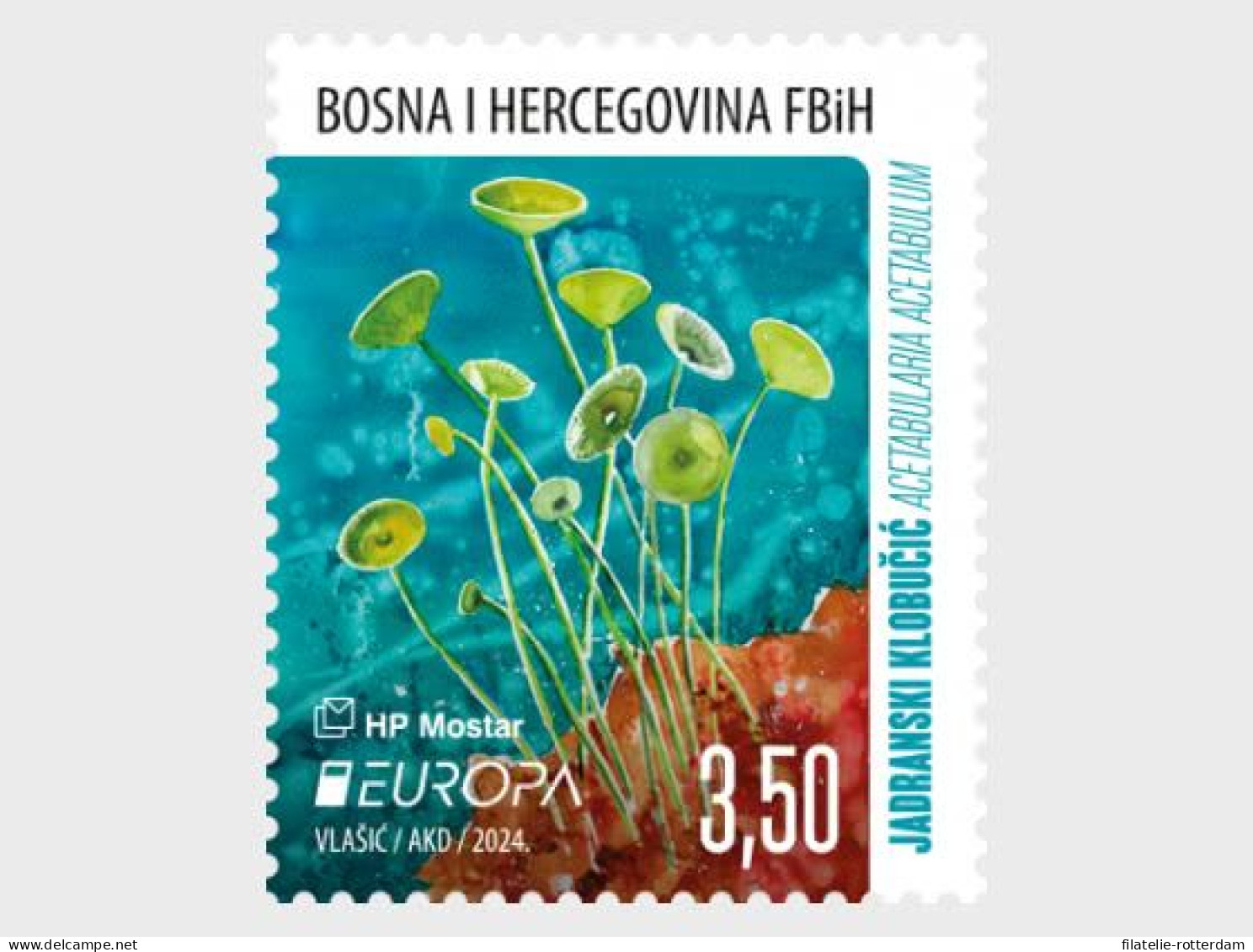 Bosnia / Bosnië - Postfris / MNH - Complete Set Europa, Underwater Fauna 2024 - Bosnia And Herzegovina