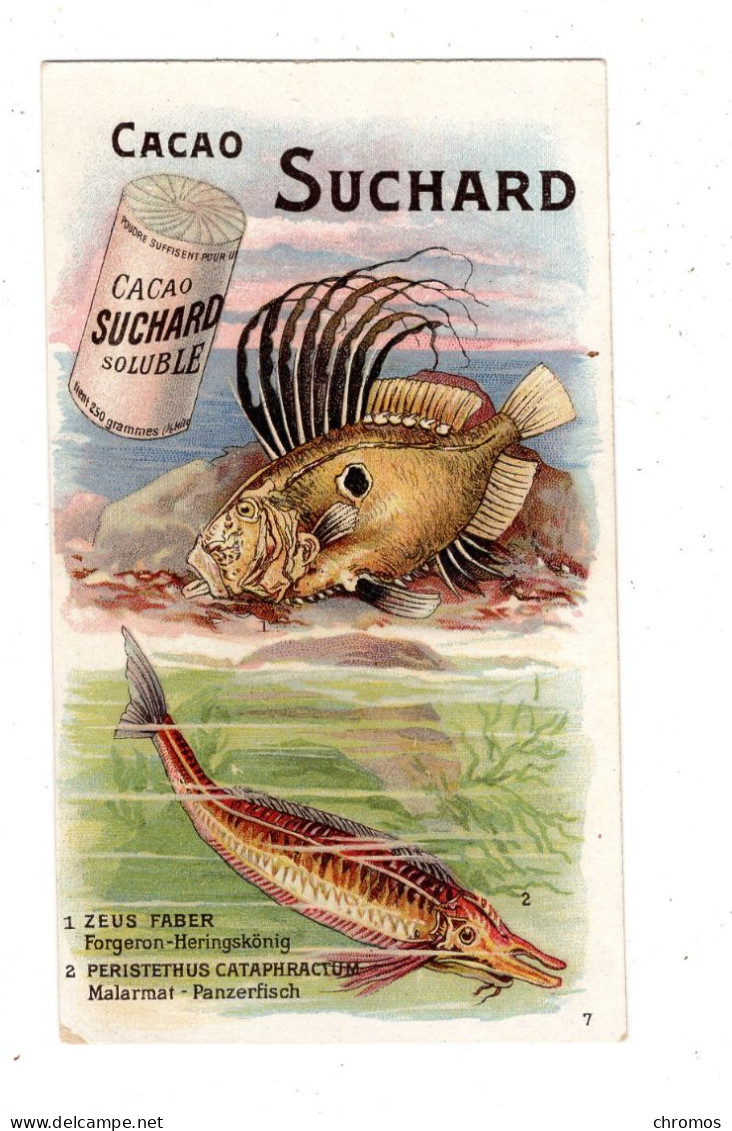 Chromo Chocolat Suchard, S 131 / 7, Serie Poissoins De La Mer - Suchard