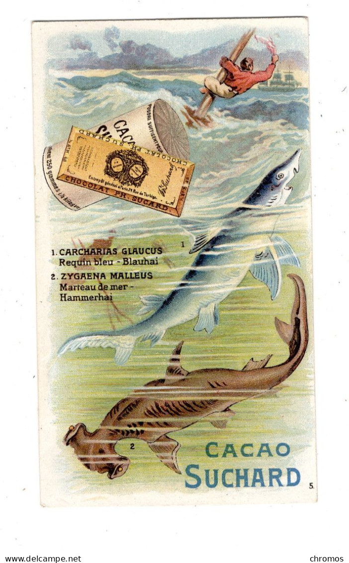 Chromo Chocolat Suchard, S 131 / 5, Serie Poissoins De La Mer - Suchard