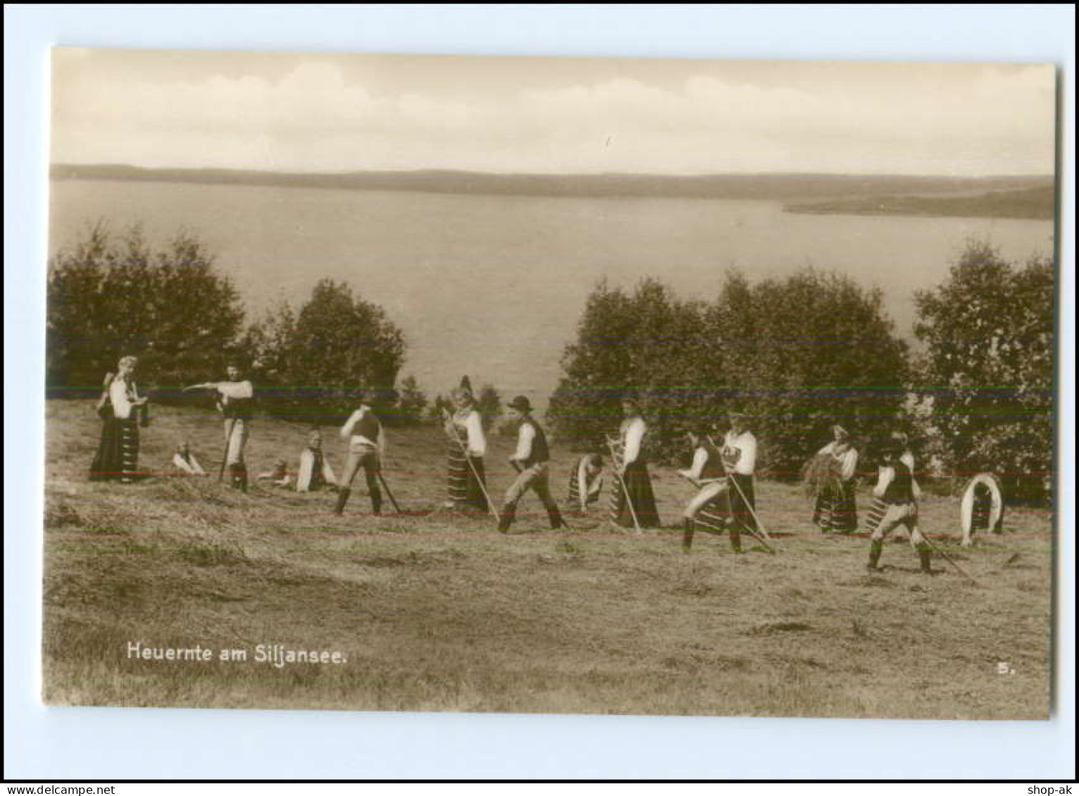 S3514/ Heuernte Am Siljansee Schweden Foto Trinks-Bildkarte AK-Format Ca.1925    - Suecia