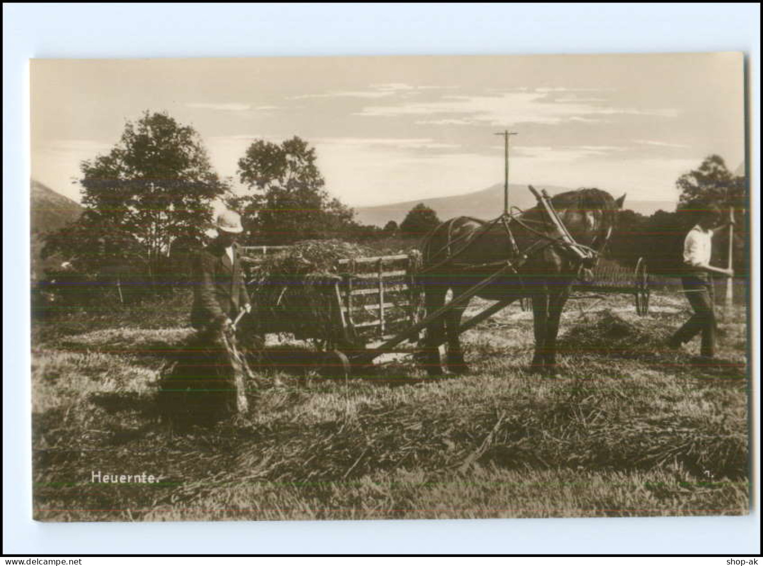 S3500/ Heuernte Höionn Norwegen Foto Trinks-Bildkarte AK-Format Ca.1925 - Norvège