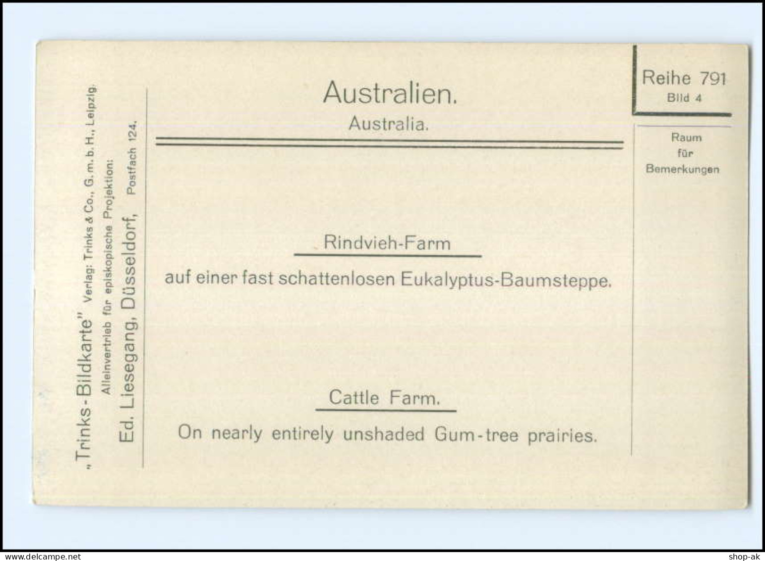 S3419/ Australien Rindvieh-Farm Cattle-Farm Trinks-Bildkarte AK-Format Ca.1925 - Other & Unclassified