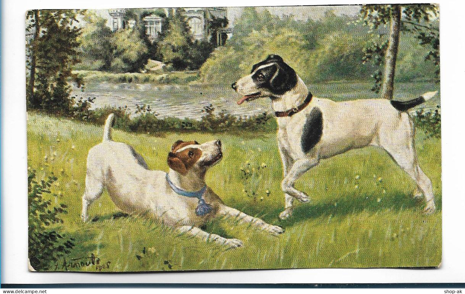 Y23595/ Hunde Schöne AK Ca.1912 - Dogs