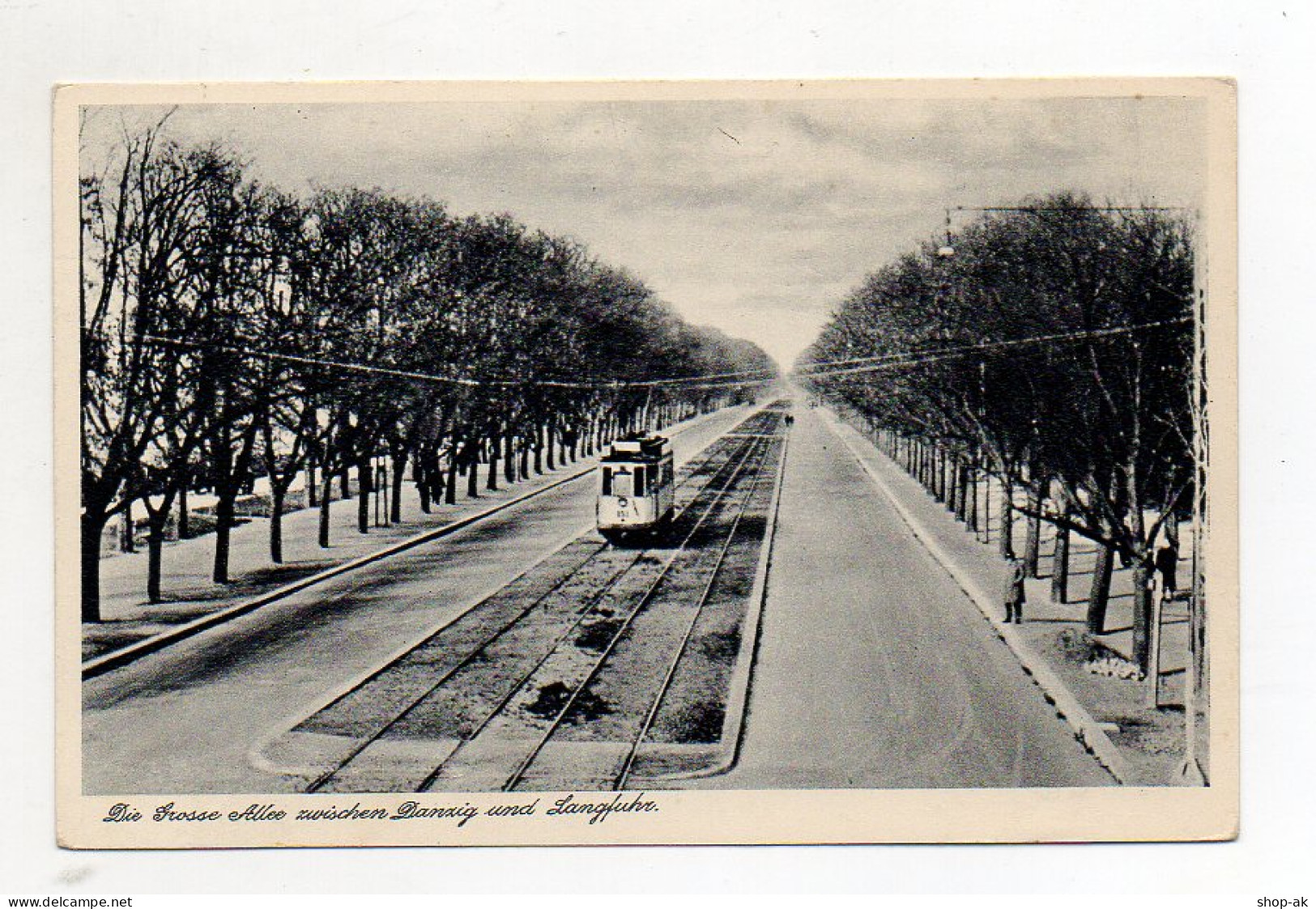 XX00656/  Große Allee Zwischen Danzig U. Langfuhr  Straßenbahn AK Ca.1935 - Danzig