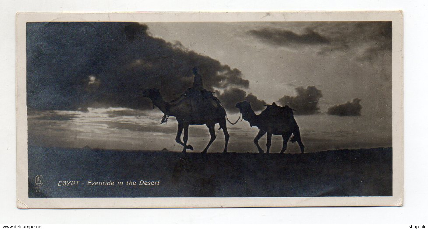 Y9763/ Egypt  Ägypten Kamele  Lehner & Landrock Foto AK 1926  15 X 7,5 Cm - Non Classés
