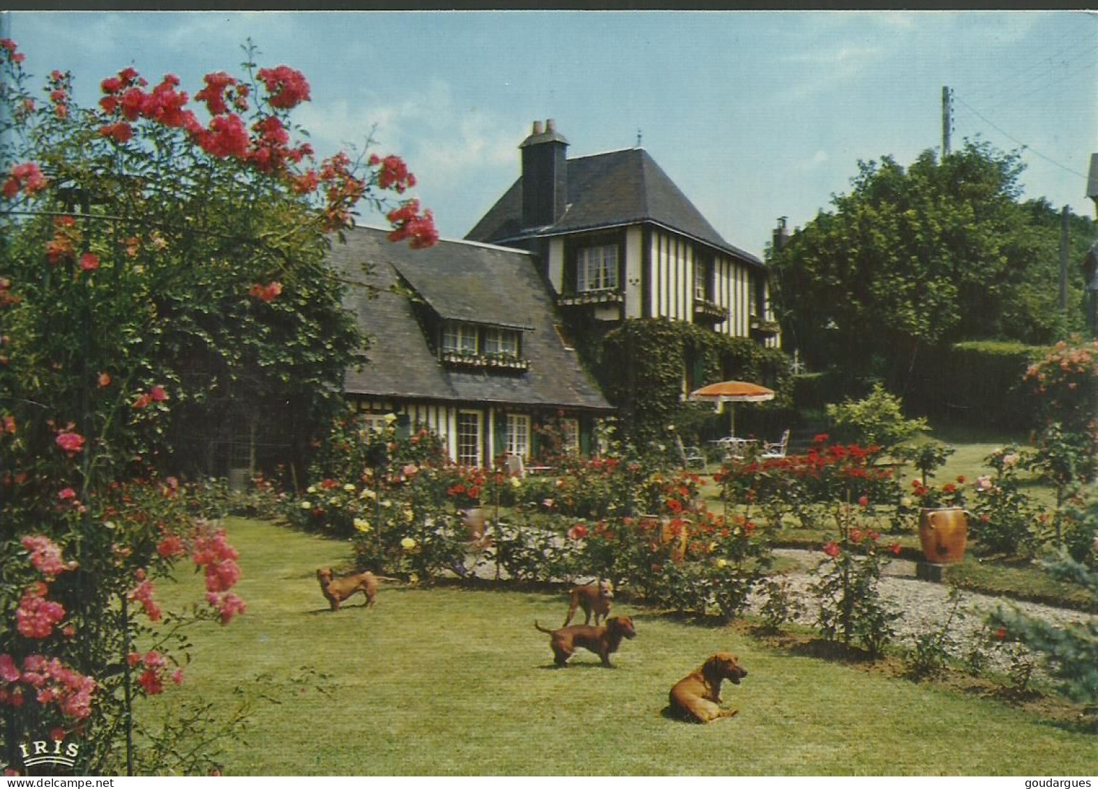 "La Closerie" à Veules-les-Roses - (P) - Veules Les Roses