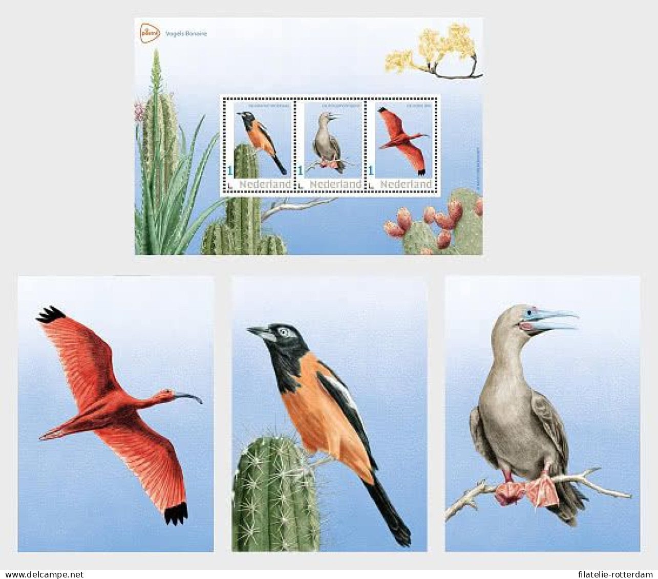 The Netherlands / Nederland - Postfris / MNH - Sheet Birds Of Bonaire 2024 - Nuevos