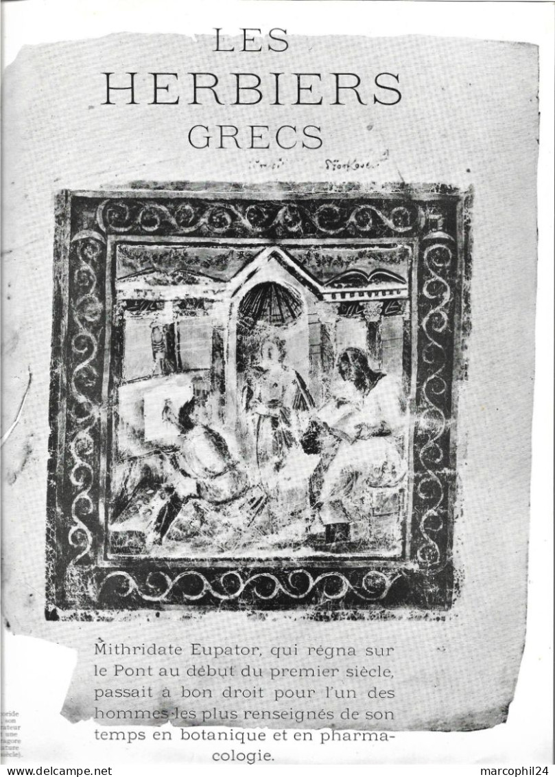 LES HERBIERS GRECS + Mithridate - Cratevas - DIOSCORIDE + Article De 7 Pages Par B. Guégan - History
