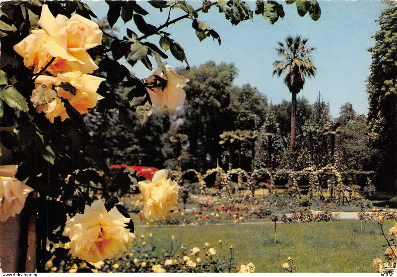 MARSEILLE Le Parc Borely La Roseraie 18(scan Recto-verso) MA1797 - Parks