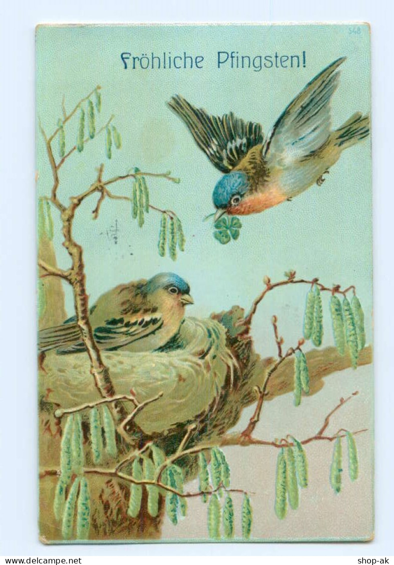 Y8423/ Pfingsten Vögel Singvögel Vogelnest Litho Präge AK 1906 - Pinksteren