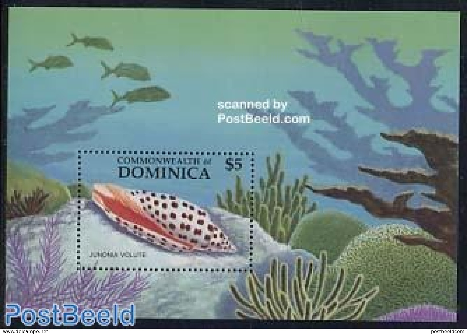 Dominica 1987 Shells S/s, Mint NH, Nature - Shells & Crustaceans - Vie Marine