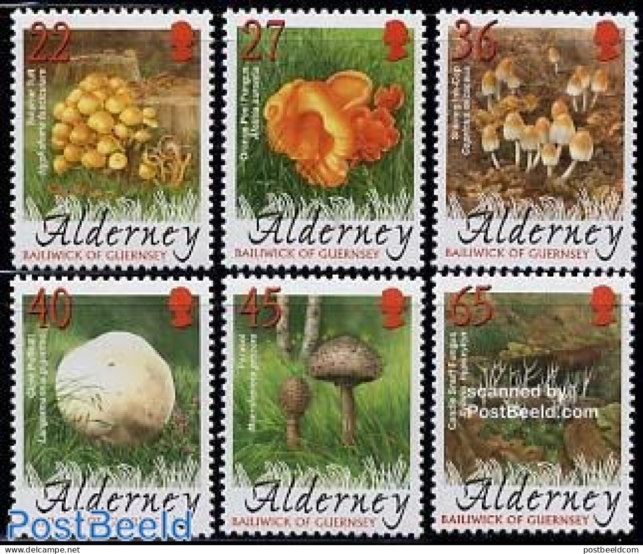 Alderney 2004 Mushrooms 6v, Mint NH, Nature - Mushrooms - Paddestoelen