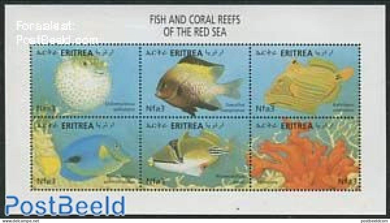 Eritrea 2000 Red Sea Fish 6v M/s, Chilomycterus Spilostylus, Mint NH, Nature - Fish - Fishes
