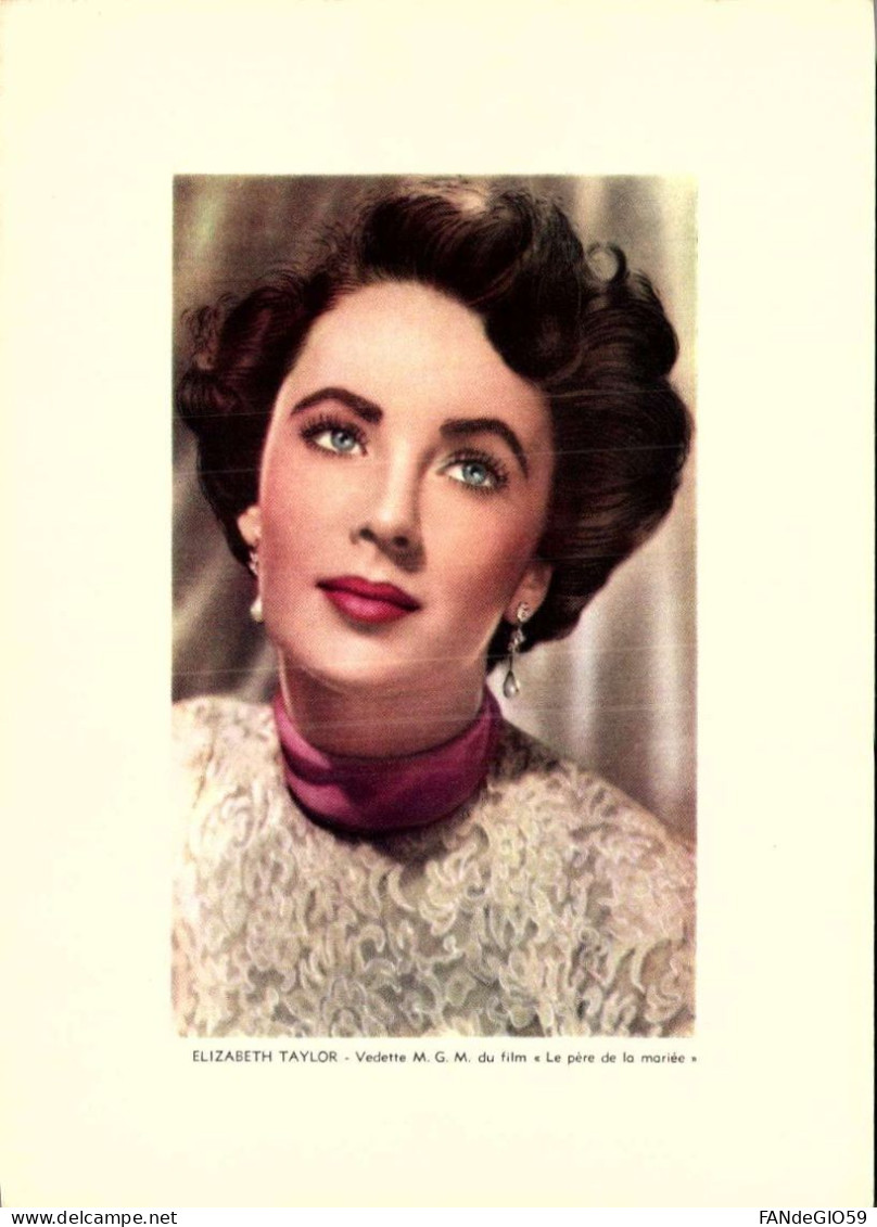 Spectacle > Cinema > Acteurs   //  ELIZABETH  TAYLOR /// FORMAT  13X 18 - Acteurs