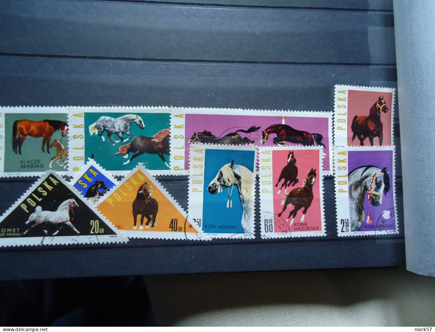 POLSKA  POLAND USED  10 STAMPS  ANIMALS  HORHES - Horses