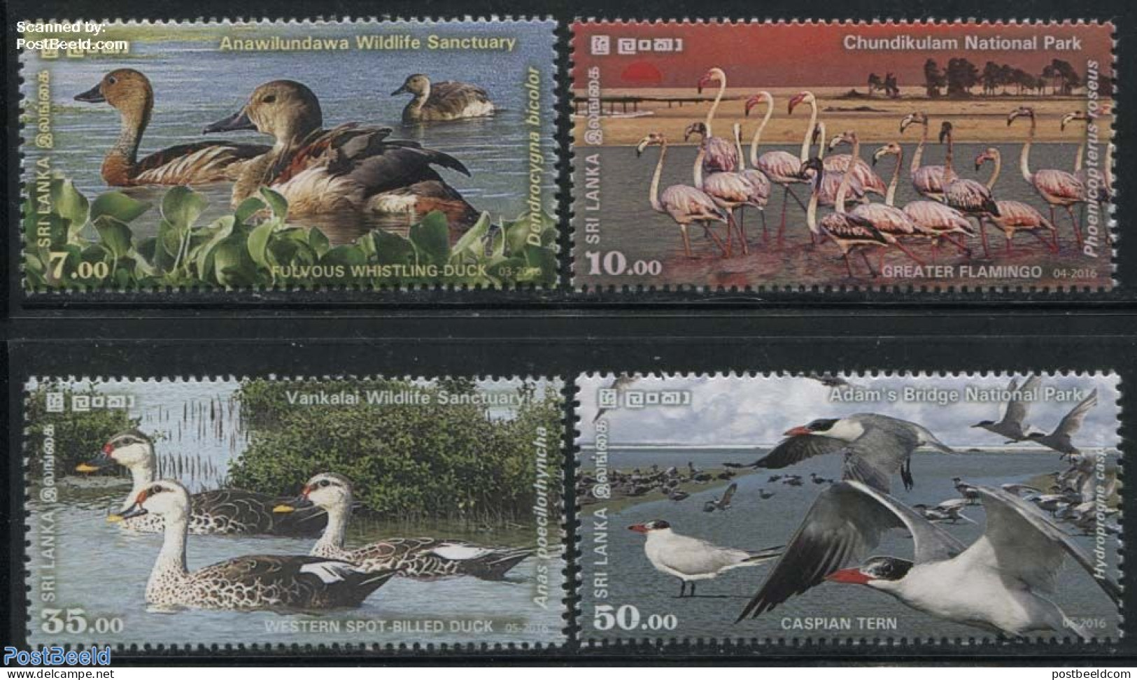 Sri Lanka (Ceylon) 2016 Wetlands 4v, Mint NH, Nature - Birds - Ducks - National Parks - Natura