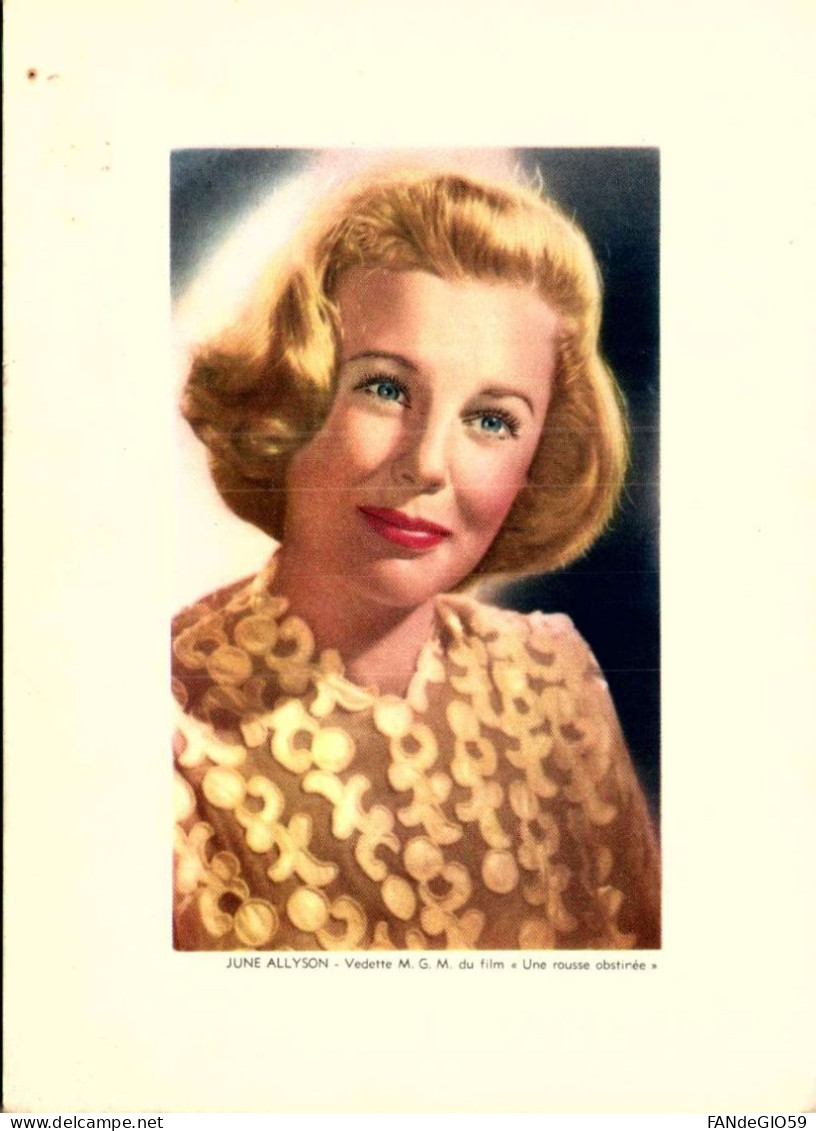 Spectacle > Cinema > Acteurs   // JUNE   ALLYSON  /// FORMAT  13X 18 - Acteurs