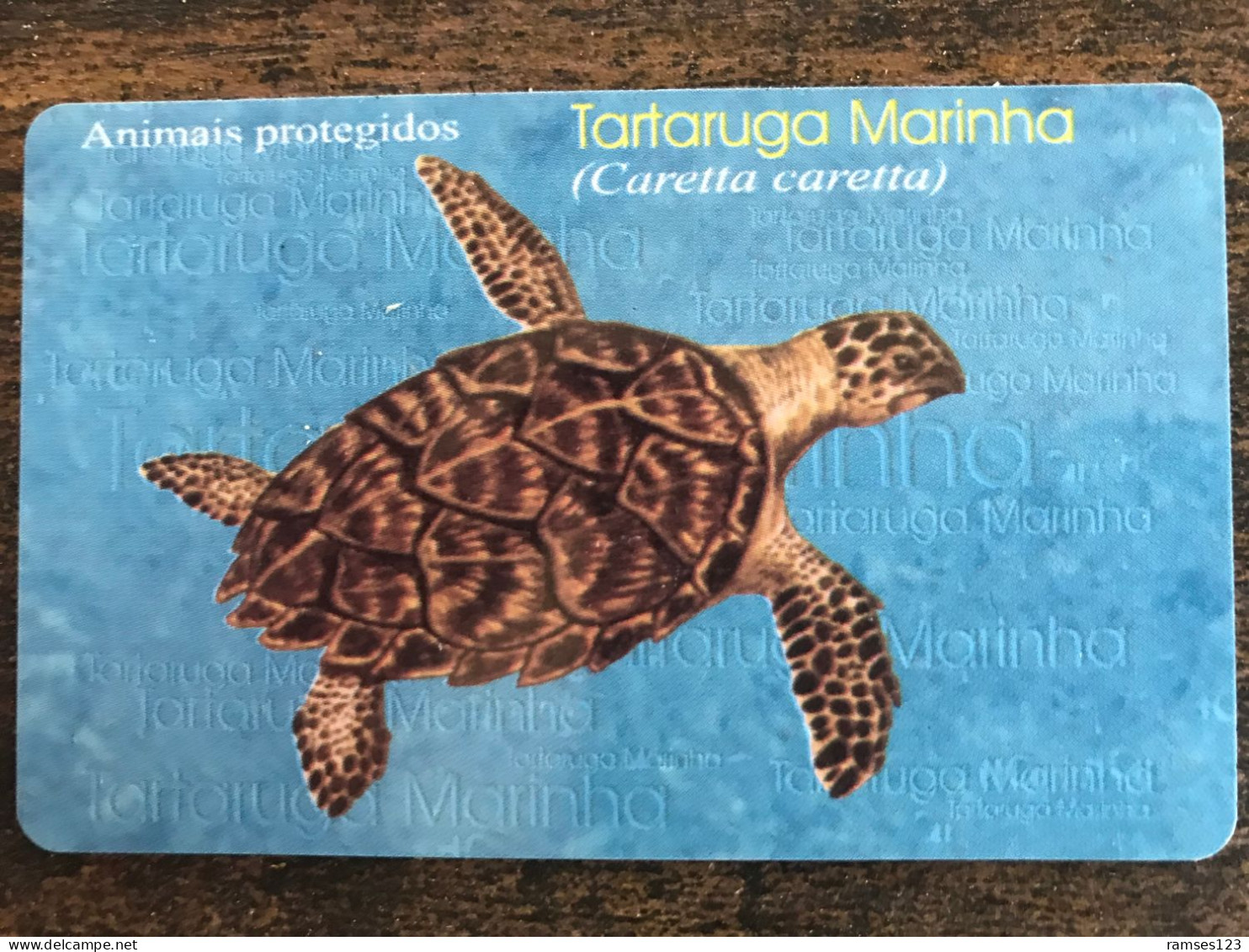 MOZAMBIQUE    TORTUE - Mozambico