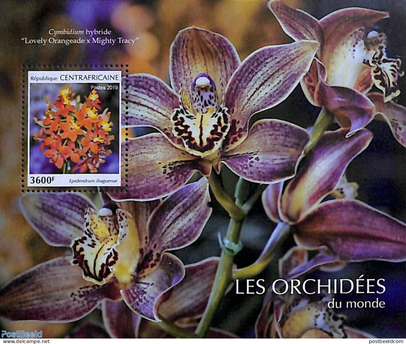 Central Africa 2019 Orchids S/s, Mint NH, Nature - Flowers & Plants - Orchids - Zentralafrik. Republik