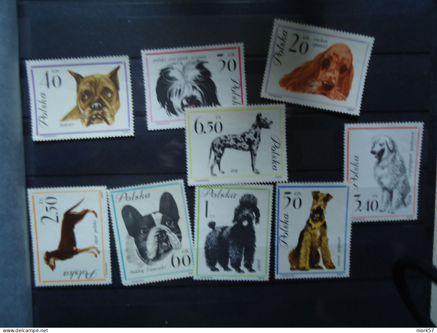 POLAND  POLSKA MNH SET 10  STAMPS ANIMALS  DOF DOGS - Perros