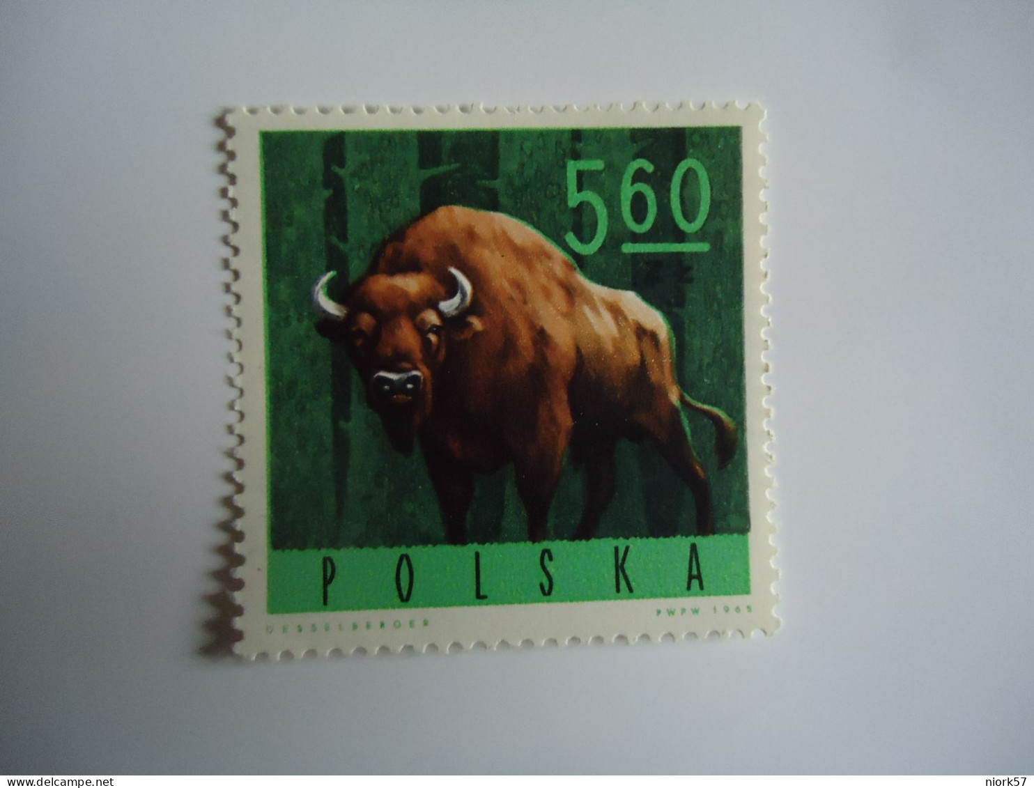 POLSKA  POLAND MNH STAMPS  ANIMALS BUFALLO - Sonstige & Ohne Zuordnung