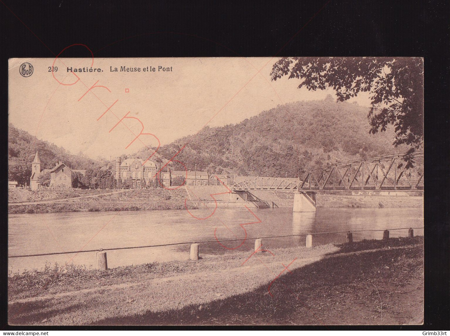 Hastière- La Meuse Et Le Pont - Postkaart - Hastiere
