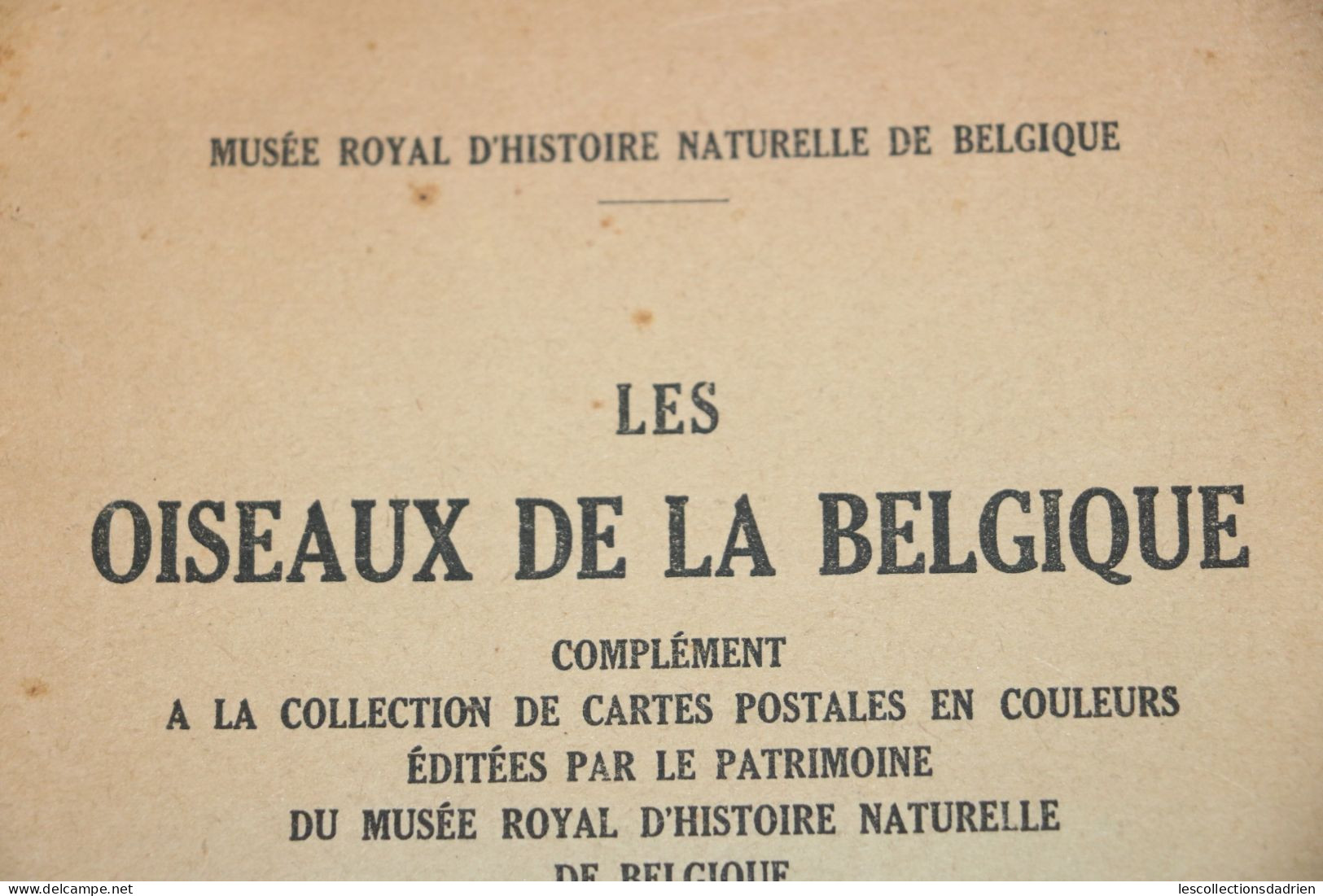 Livre Ancien Les Oiseaux De La Belgique - Complément - 1943 Ch Dupond - Animali
