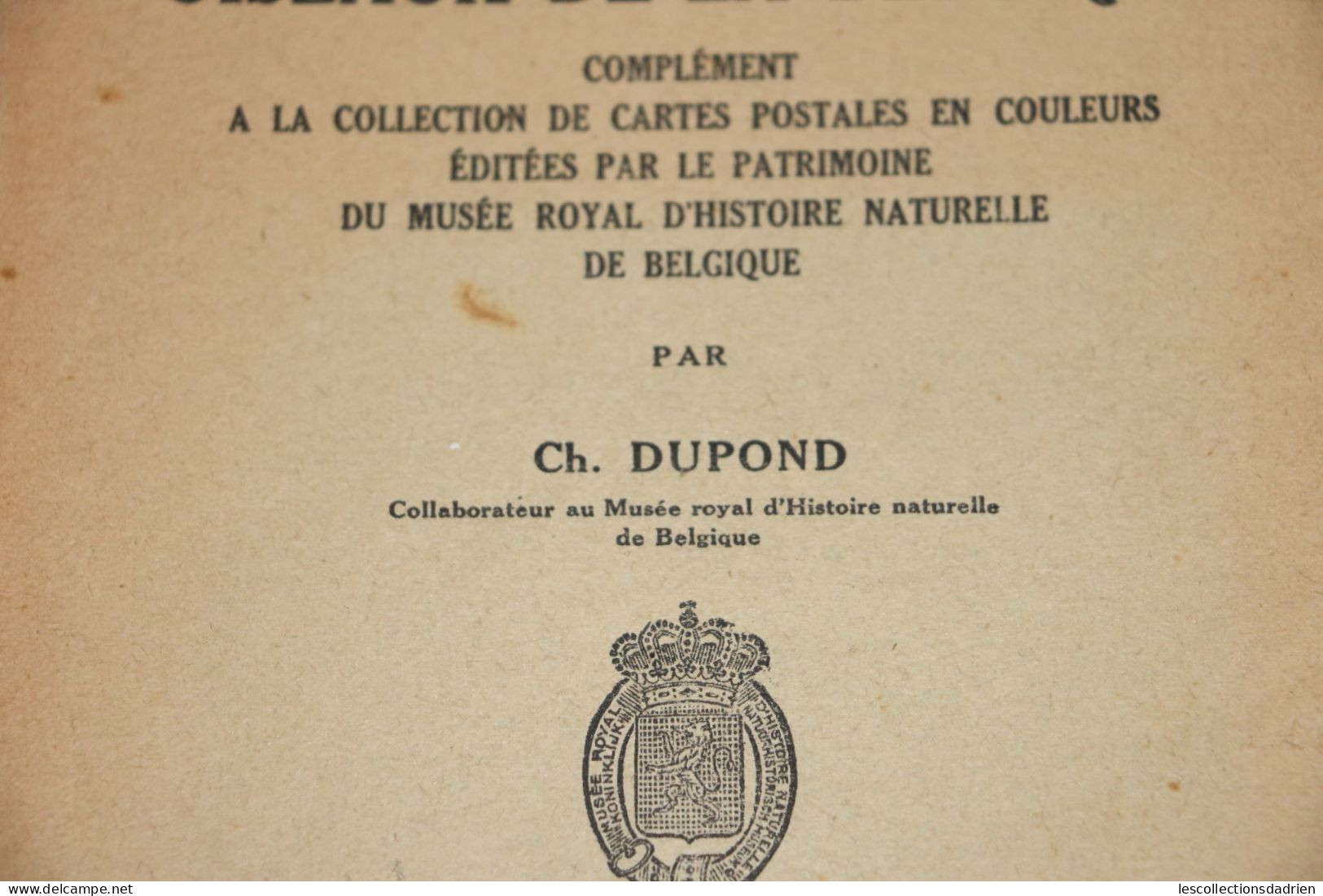 Livre Ancien Les Oiseaux De La Belgique - Complément - 1943 Ch Dupond - Animaux