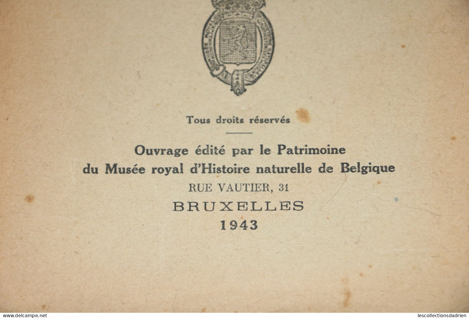 Livre Ancien Les Oiseaux De La Belgique - Complément - 1943 Ch Dupond - Animali
