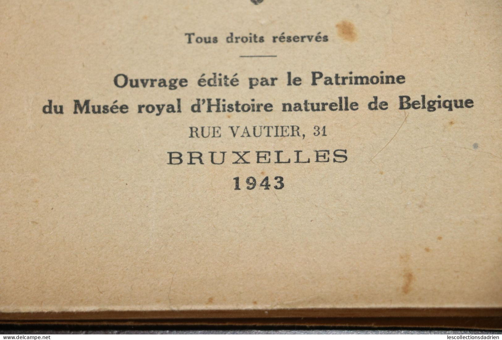 Livre Ancien Les Oiseaux De La Belgique - Complément - 1943 Ch Dupond - Animales