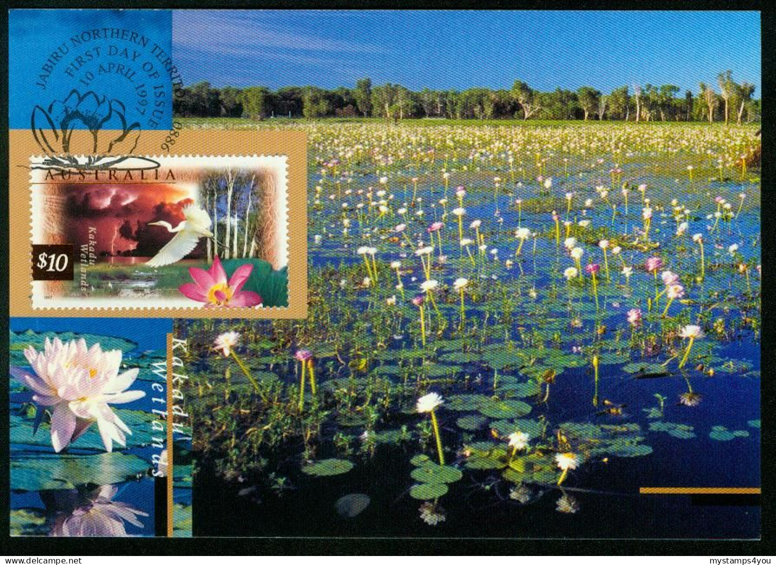 Mk Australia Maximum Card 1997 MiNr 1633 Y | Fauna And Flora. Kakadu Wetlands. Great Egret #max-0029 - Cartas Máxima