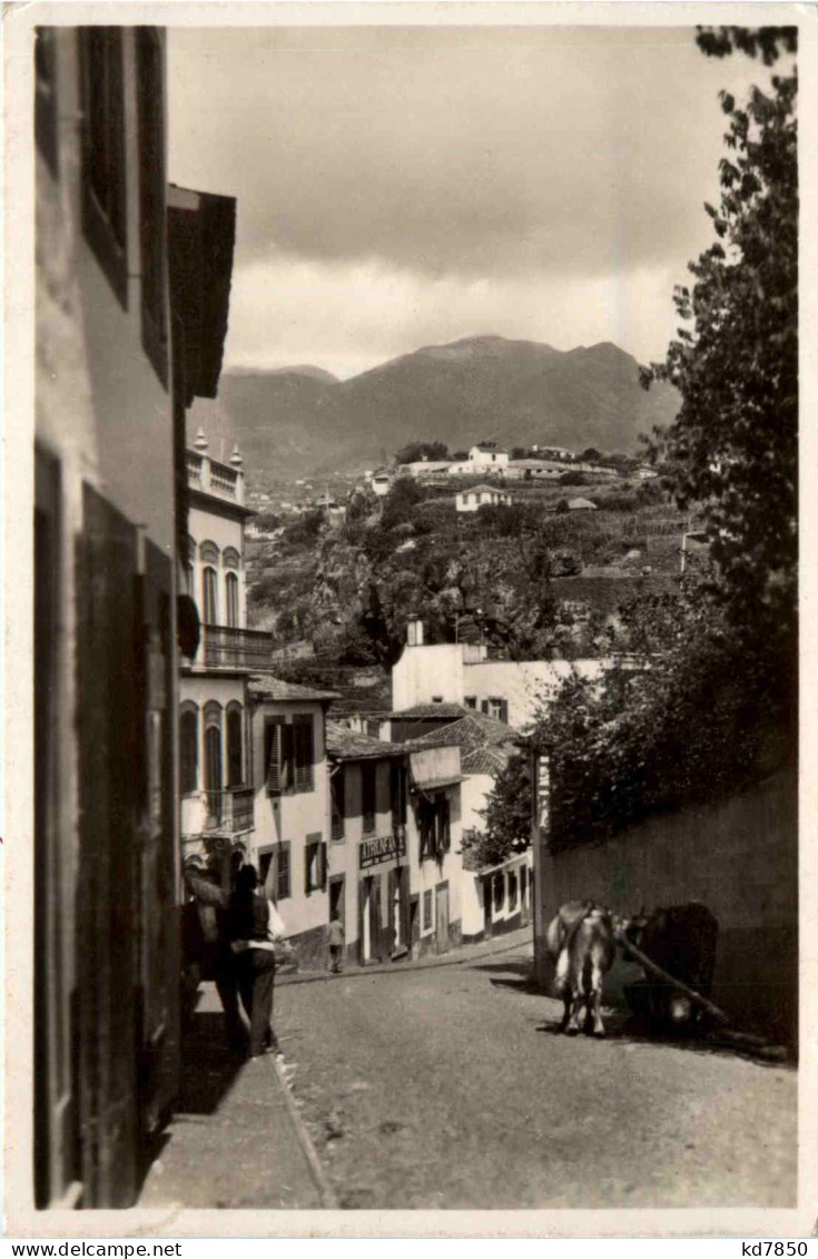MAdeira - Strasse In Funchal - Madeira