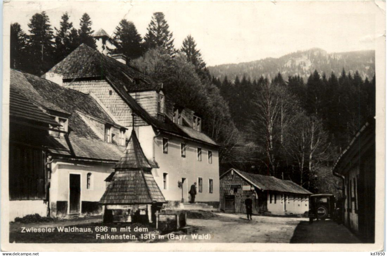 Zwieseler Waldhaus Mit Falkenstein - Regen