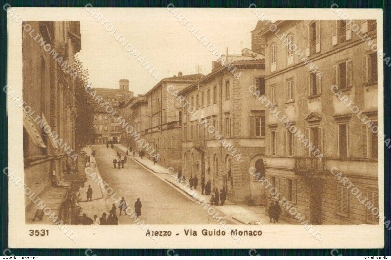 Arezzo Città Via Guido Monaco Cartolina RB5499 - Arezzo