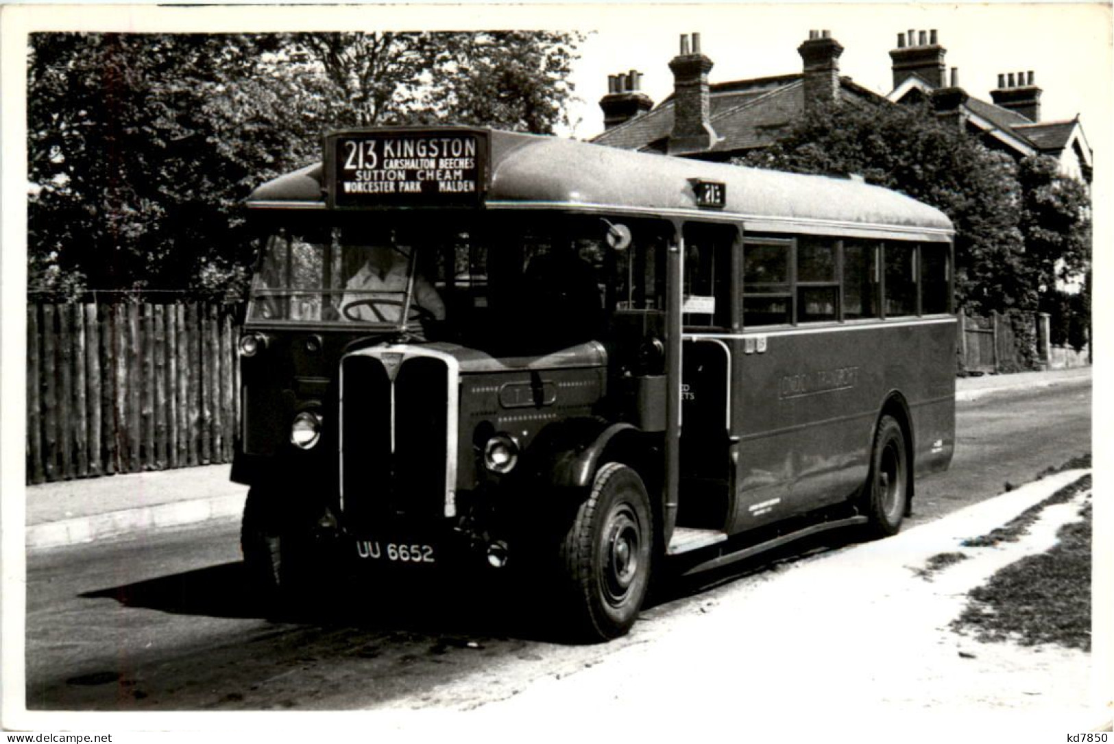 Bus - Autobús & Autocar