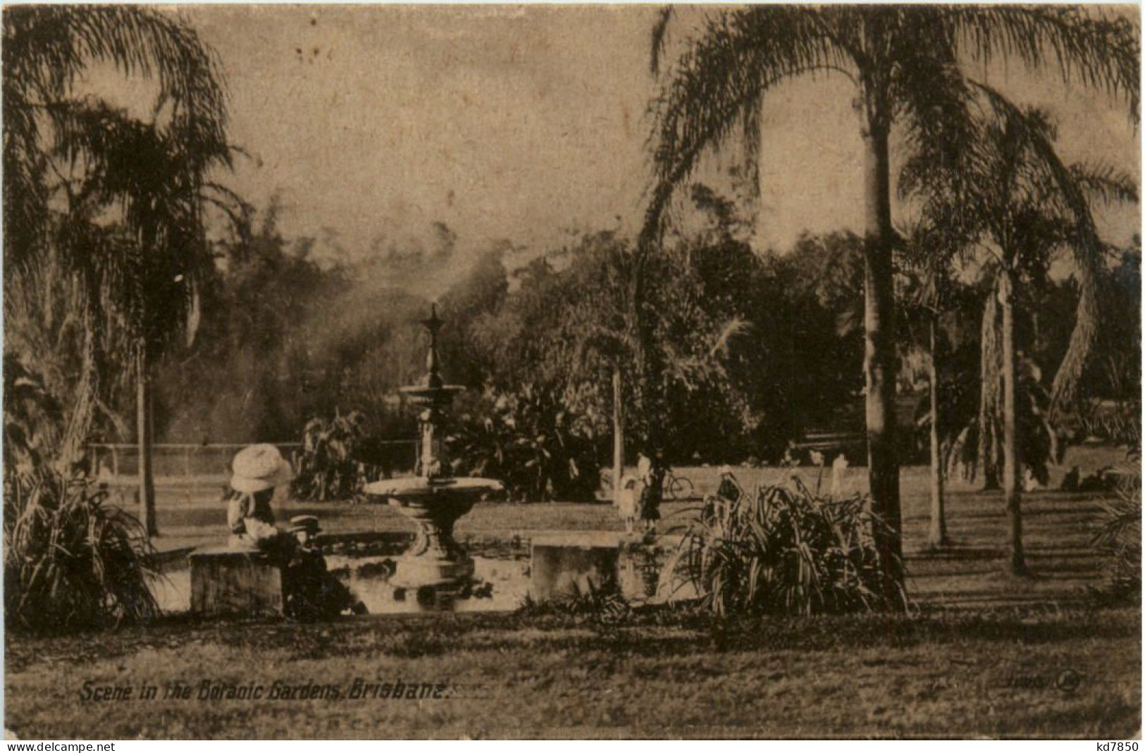 Brisbane - Botanic Gardens - Sonstige & Ohne Zuordnung