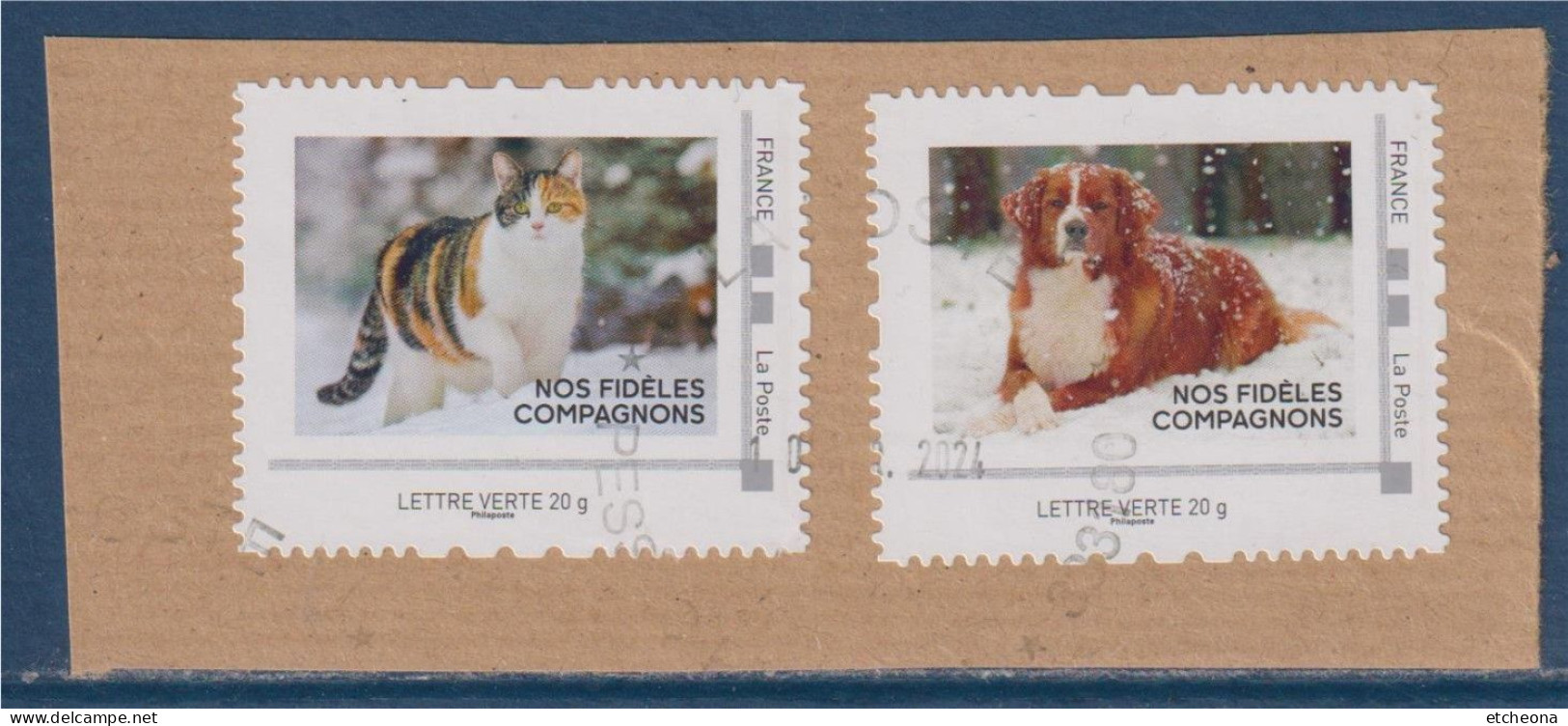 Sur Fragment Nos Fidèles Compagnon Chien Et Chat Sur La Neige TVP LV Oblitérés - Used Stamps