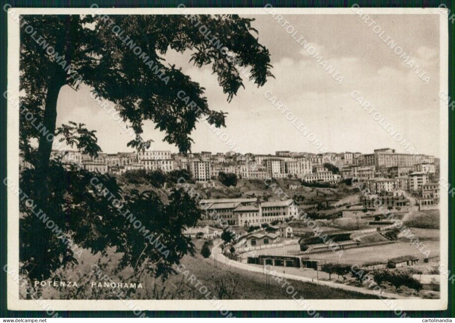 Potenza Città Stadio Campo Sportivo Foto FG Cartolina ZK3463 - Potenza