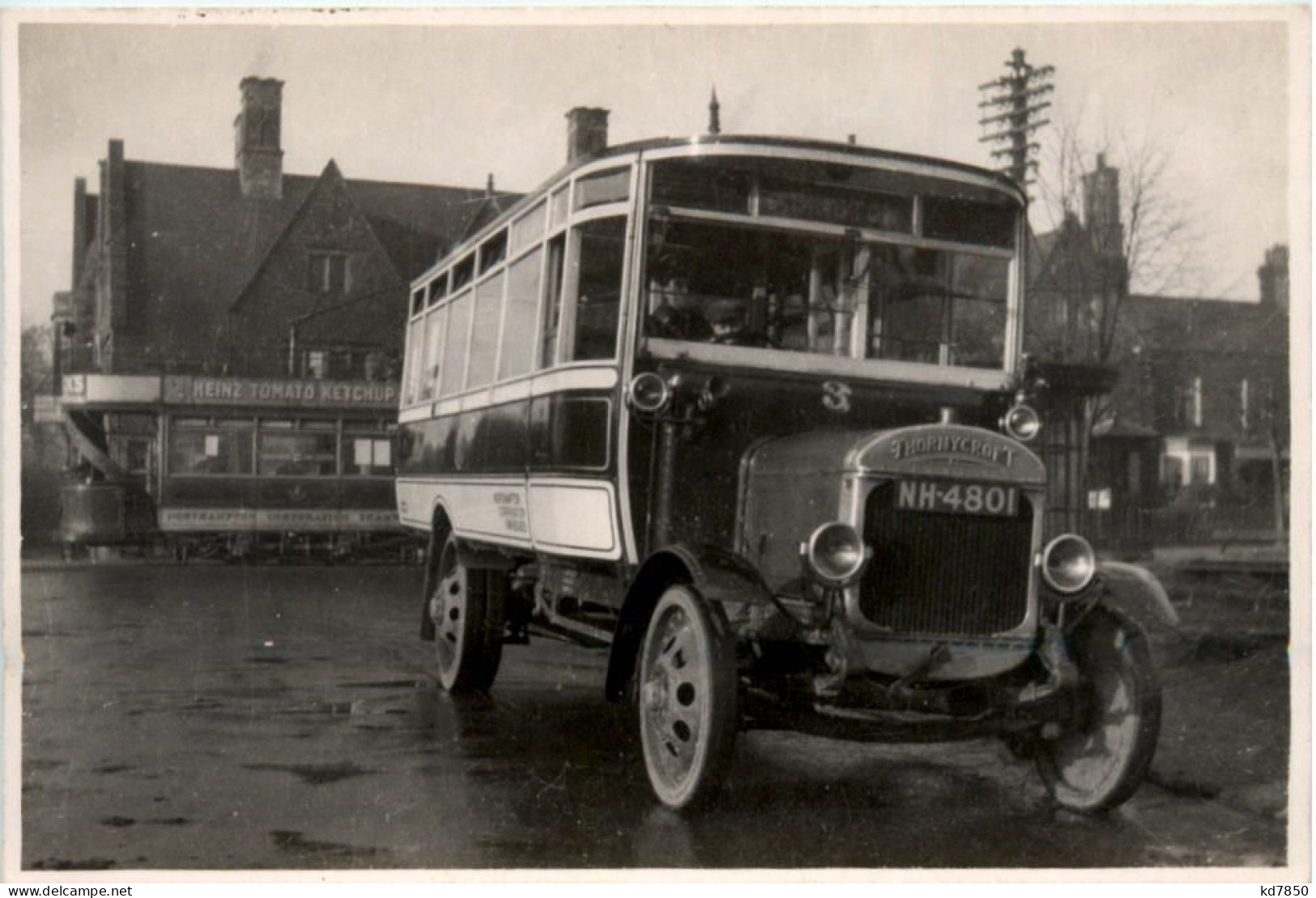 Bus - Autobús & Autocar