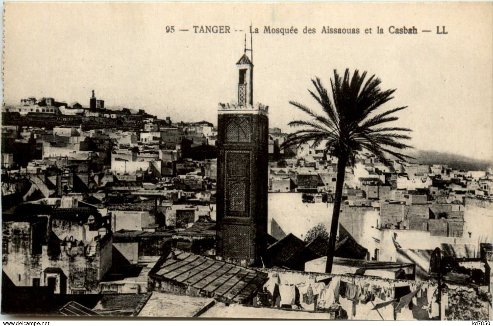 Tanger - La Mosquee Des Aissouas - Tanger