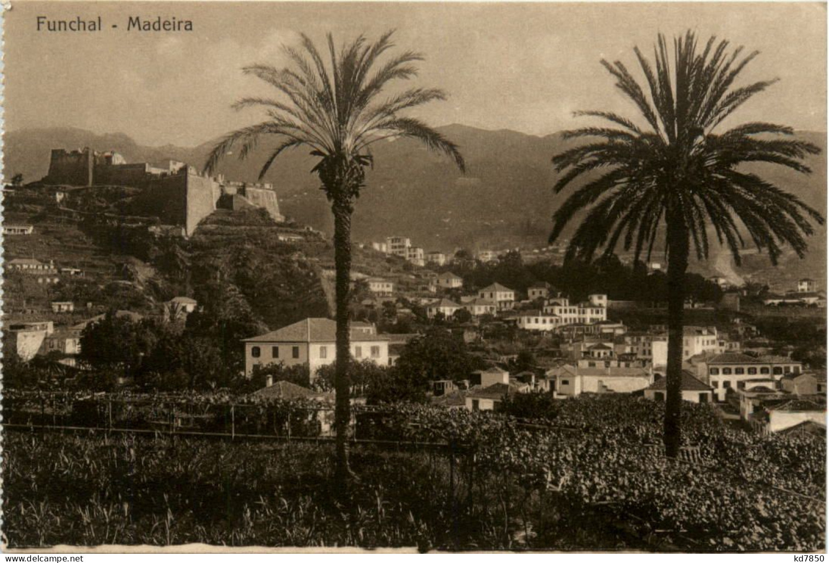 Madeira - Funchal - Madeira