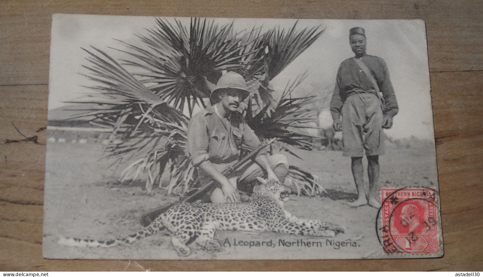 NIGERIA : A Leopard, Northerne Nigéria ................ BE-18026 - Nigeria