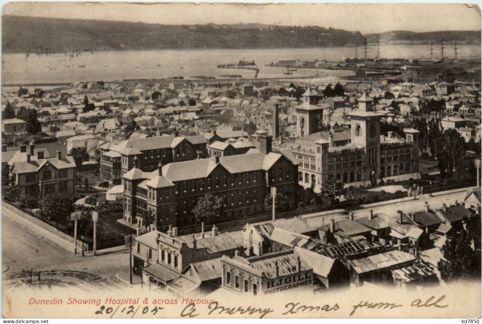 Dunedin Showing Hospital & Across Harbour - New Zealand - Neuseeland