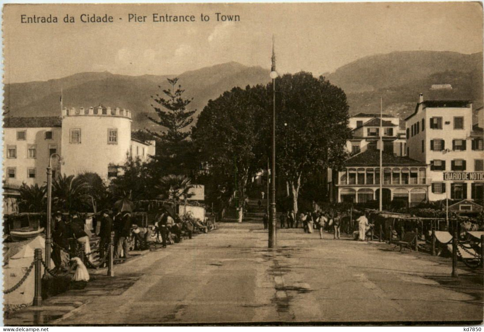 Madeira - Entrada Da Cidade - Madeira