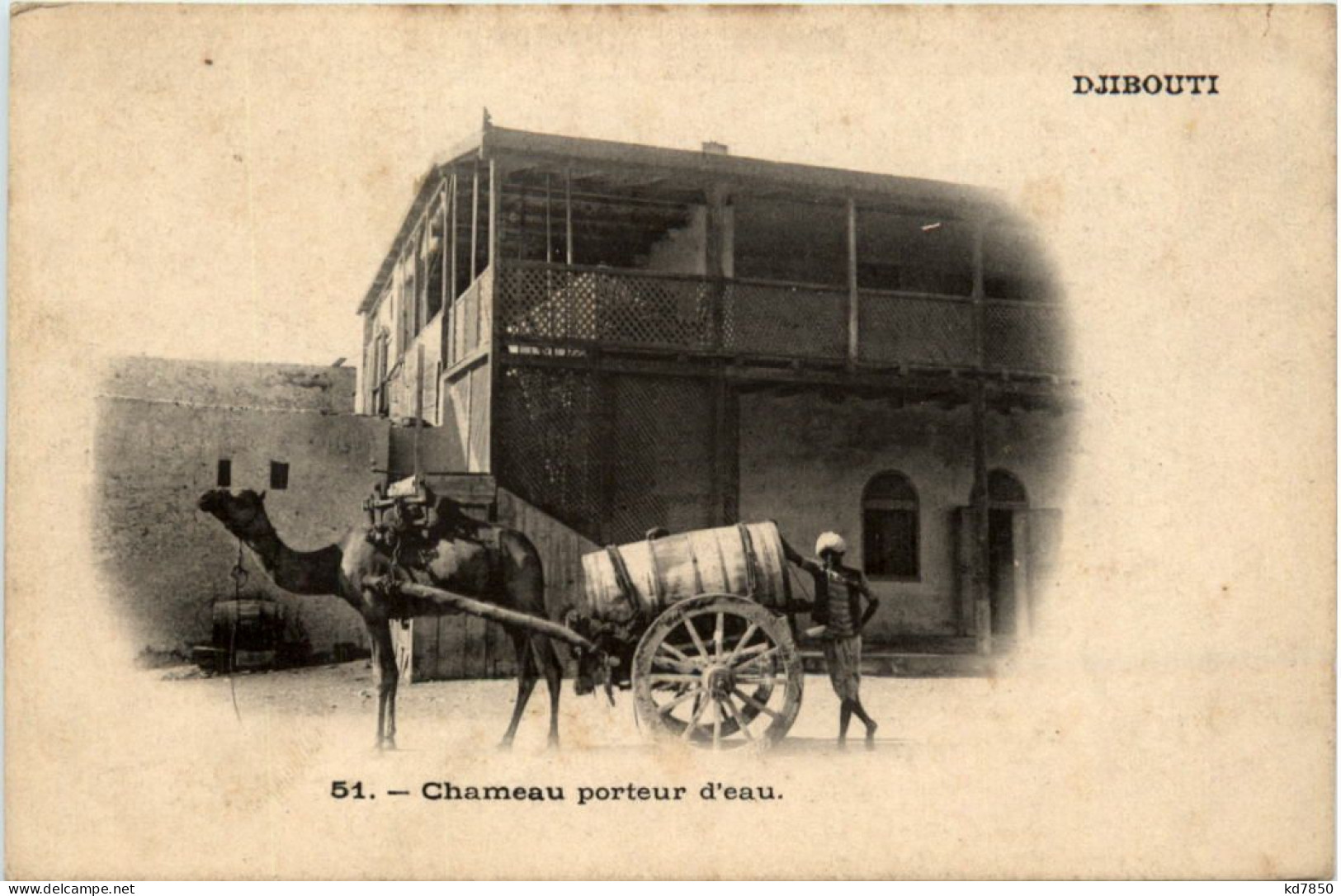Djibouti - Chameau Porteur D Eau - Djibouti