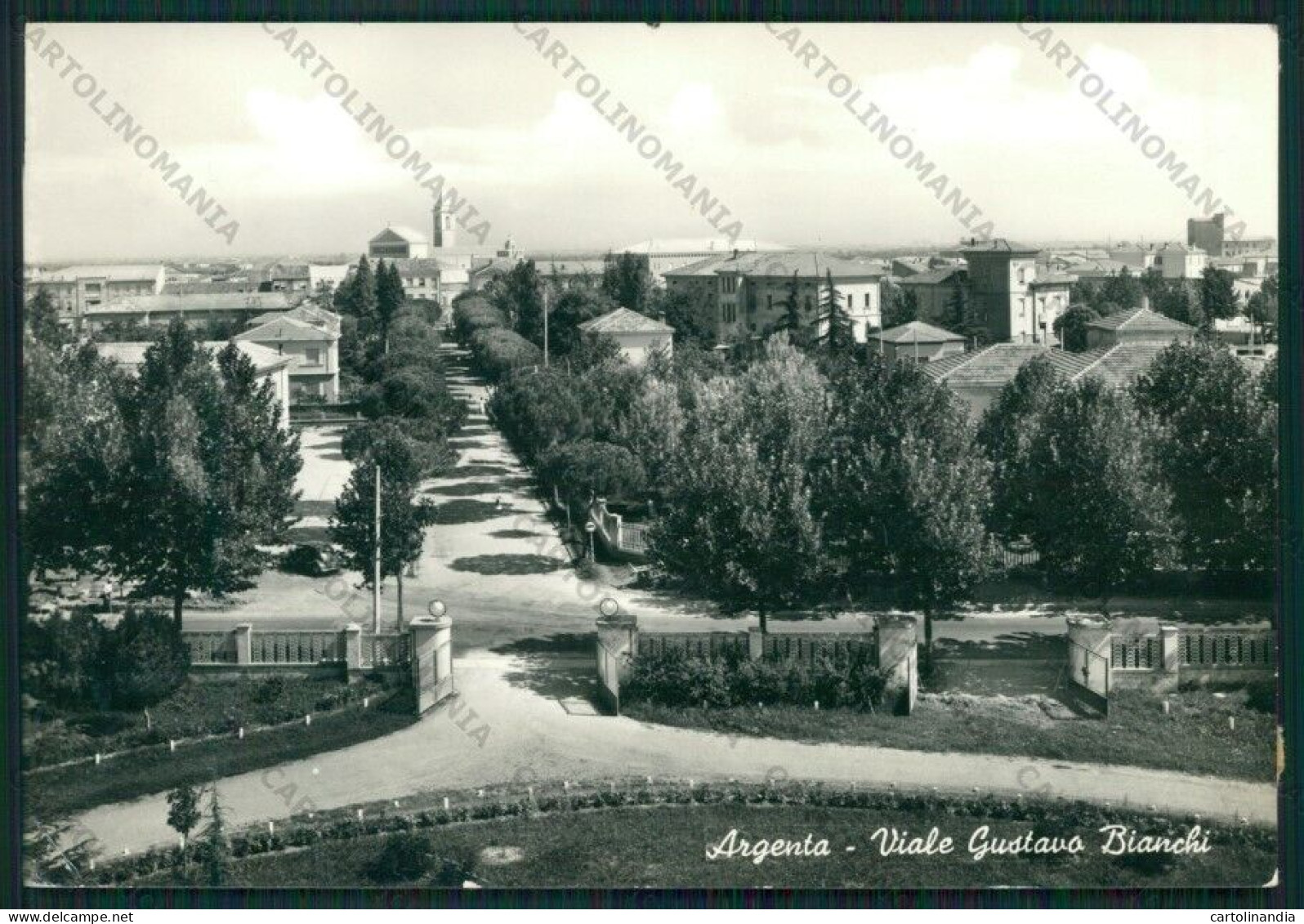 Ferrara Argenta COLLA ABRASA Foto FG Cartolina ZK1886 - Ferrara