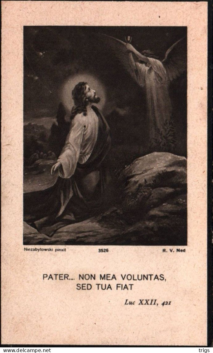 Albert Paul Vangansbeke (1914-1932) - Imágenes Religiosas