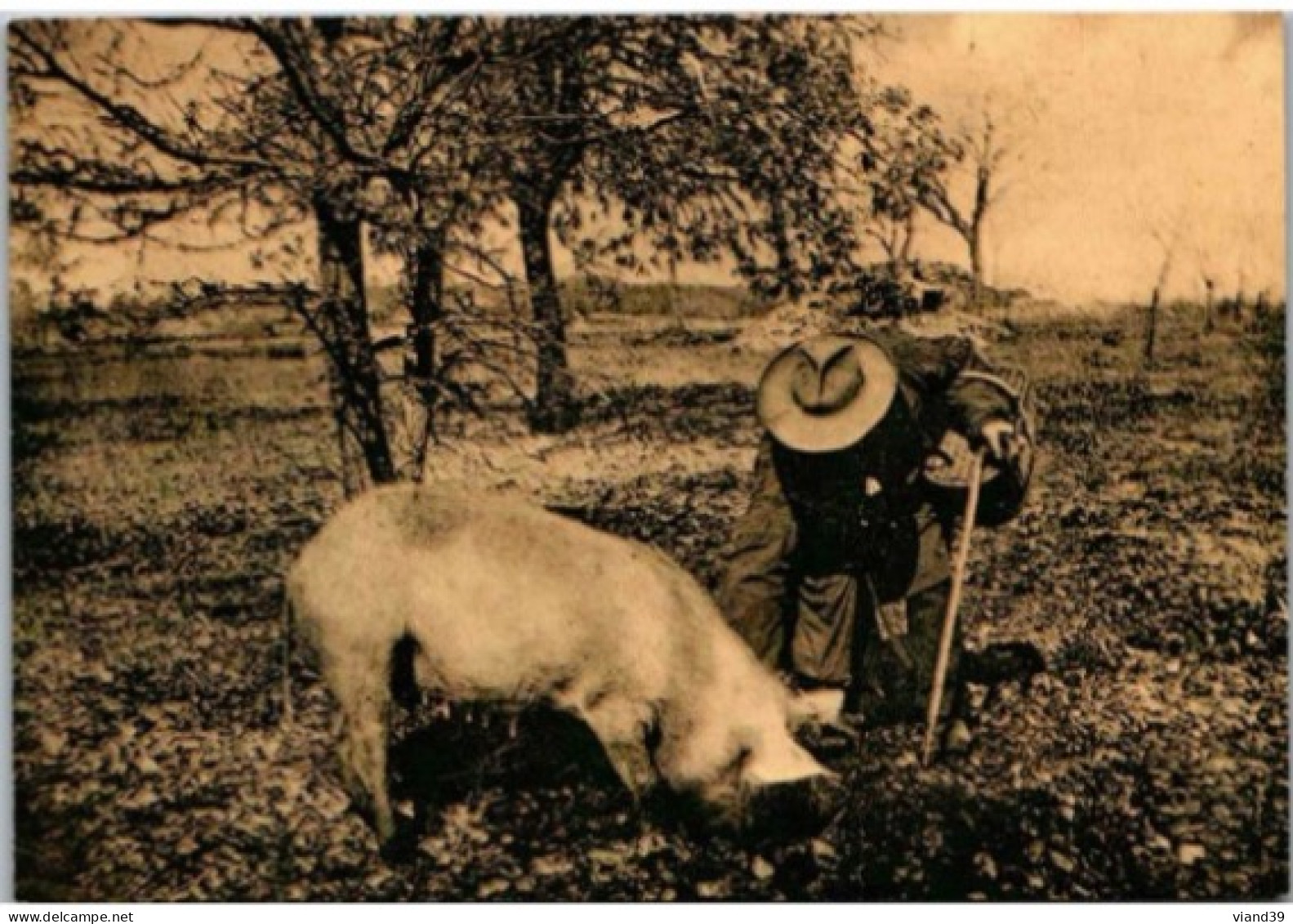 Deux Périgords Trouvent La Truffe. Carte Ecomusée De La Truffe Sotges En Périgord. - Campesinos